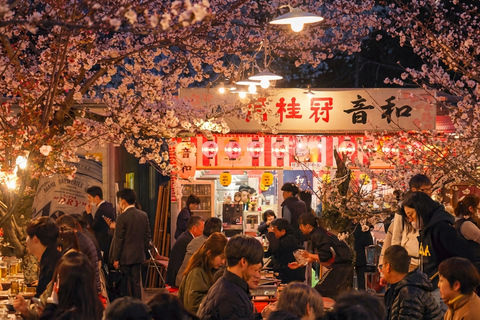 Kyoto Cherry Blossom Night: Local Hanami & Izakaya Walk Cherry Blossom Evening Walk & Local Izakaya
