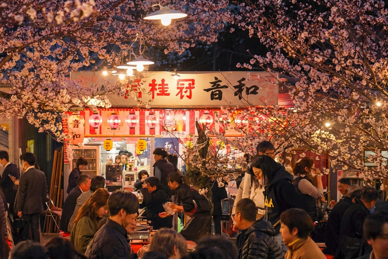 Kyoto Cherry Blossom Night: Local Hanami & Izakaya Walk Cherry Blossom Evening Walk & Local Izakaya