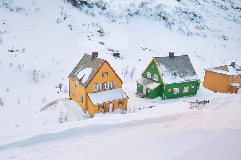 Bergen Day Winter Tour: Nærøyfjord Cruise, Flåm &amp; Stegastein