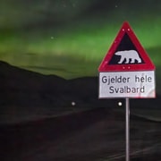Longyearbyen: Nordlichter-Tour per Auto