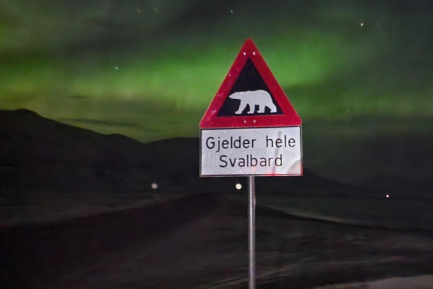 Longyearbyen: tour dell'aurora boreale in auto