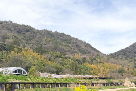 From Kyoto: Lake Biwa & Omi Hachiman Private Day Trip