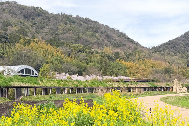 From Kyoto: Lake Biwa & Omi Hachiman Private Day Trip