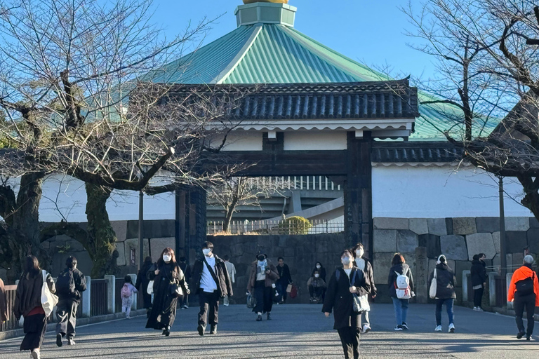 Tour panorámico de 3 días por Japón en coche: Tokio, monte Fuji, Kioto y Osaka
