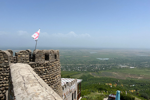 Authentic Kakheti Wine Tour: Tasting & Sighnaghi Wine Tunnel