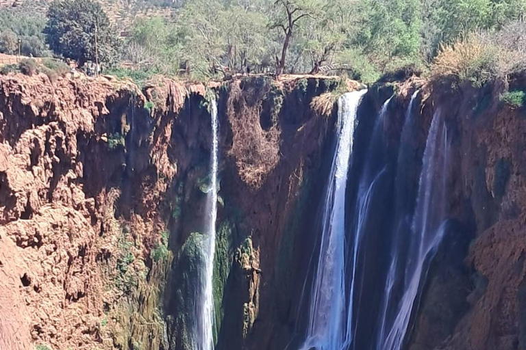 Von Marrakech aus: Ouzoud Wasserfälle Tagestour mit Bootstour