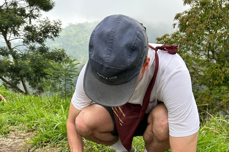 Yogyakarta: Merapi Eco Trek, Coffee & Tree Planting