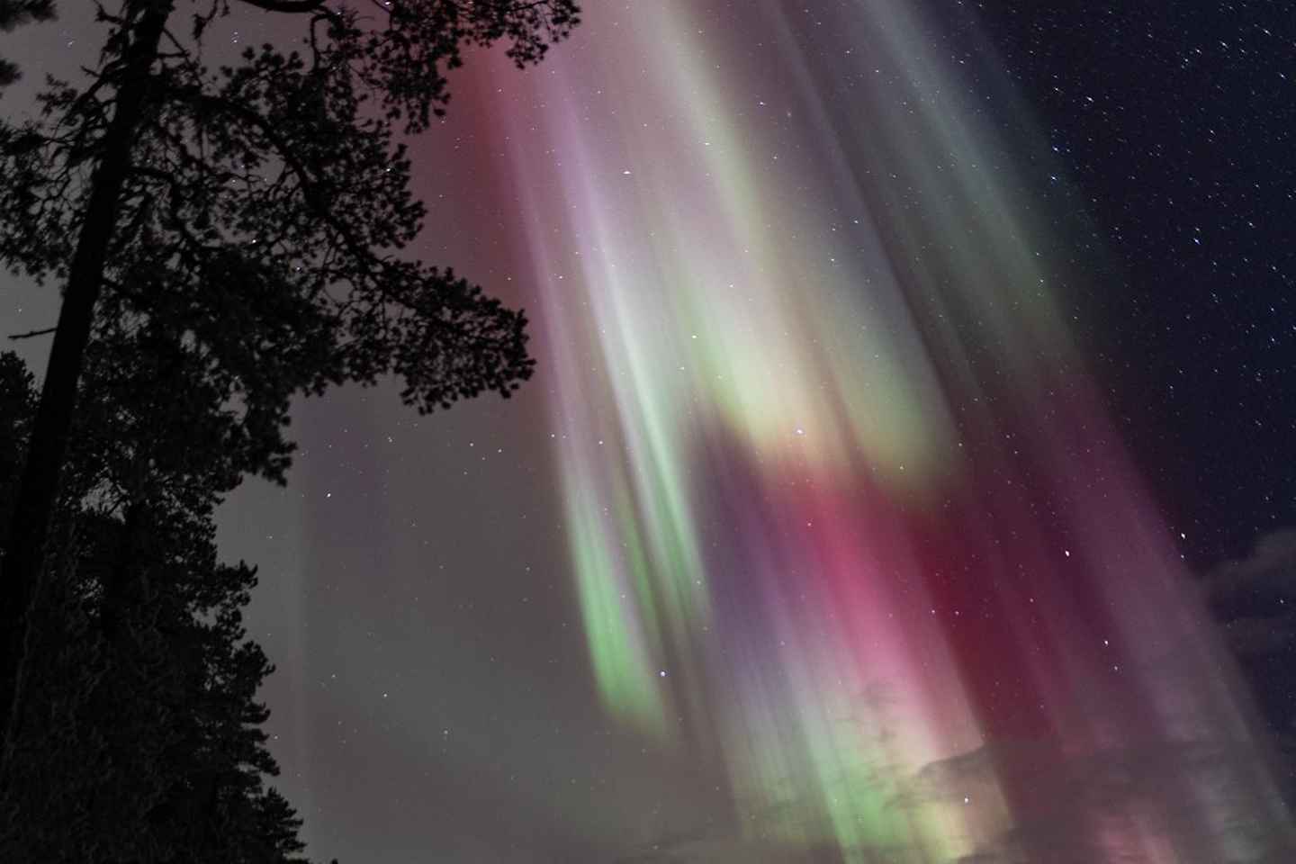Överkalix : Photography Workshop by Night in Swedish Lapland