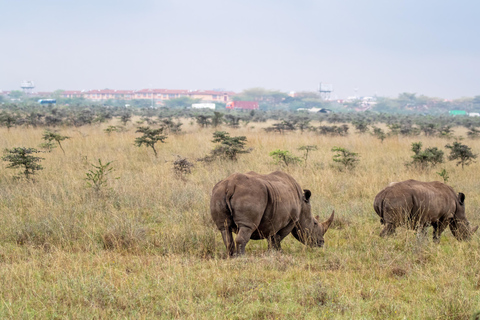 Nairobi: National Park Private Tour with Lunch at Carnivore Nairobi: National Park Private Tour without Lunch
