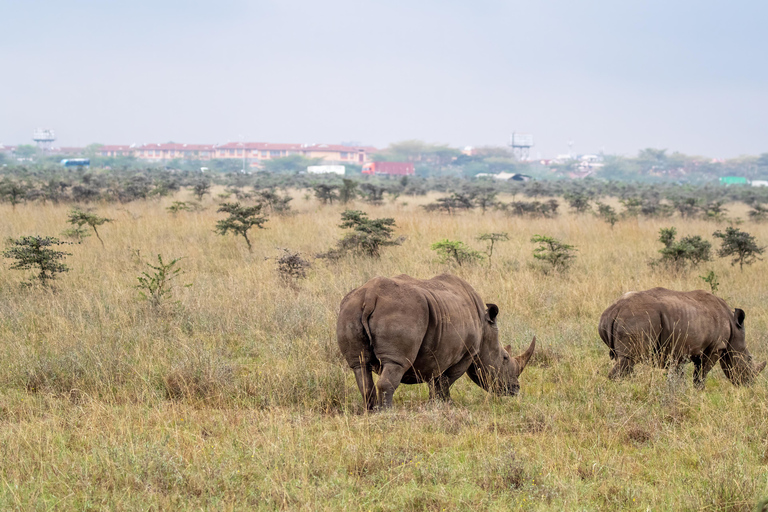 Nairobi: National Park Private Tour with Lunch at Carnivore Nairobi: National Park Private Tour without Lunch