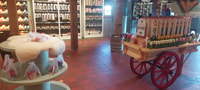 Visite privée Zaanse Schans Moulins à vent, Volendam & Marken - Hizvo