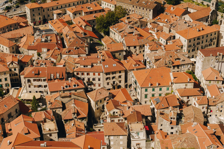 Tour of Montenegro: Budva or Kotor Day Tour from Tirana Montenegro Tour w/ Budva Visit