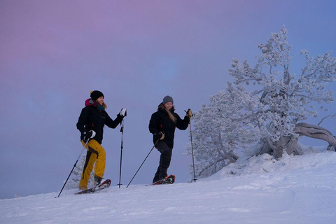 Winter Snowshoeing in the Finnish Wilderness