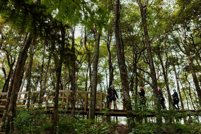 Auckland: Waiheke Island Man O' War Forest Flight Zipline Auckland: Waiheke Island Man O' War Zipline Adventure