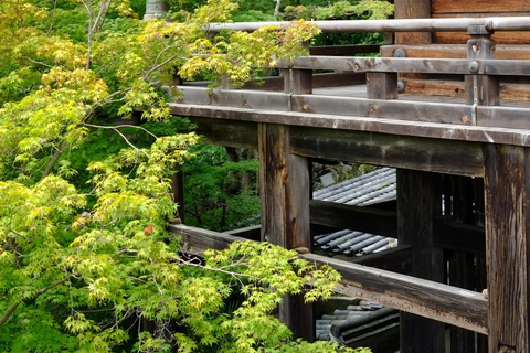 Nara: Entdecke die riesige Kannon-Statue und den Tempel am Steilhang von HasederaNara: Entdecke die riesige Kannon-Statue und den Tempel am Steilhang in Hasedera