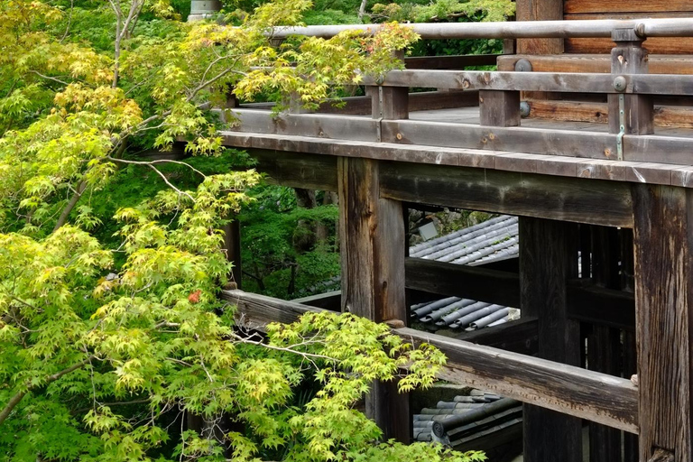 Nara: Entdecke die riesige Kannon-Statue und den Tempel am Steilhang von HasederaNara: Entdecke die riesige Kannon-Statue und den Tempel am Steilhang in Hasedera