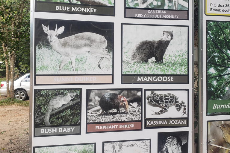 Zanzibar: Jozani forest, Butterfly center & Salaam cave tour Tour with Hotel pick up and drop off included