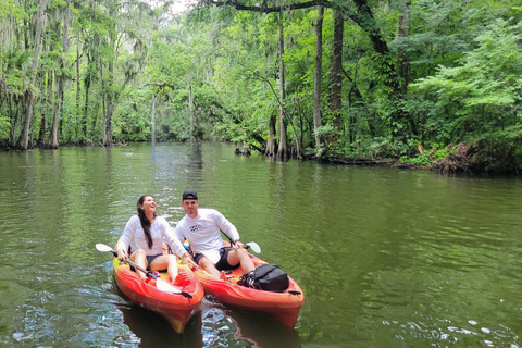 From Orlando: Wild Florida Kayak Tour on the Dora Canal