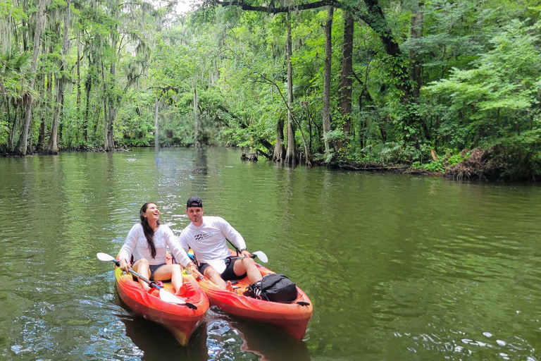 From Orlando: Wild Florida Kayak Tour on the Dora Canal
