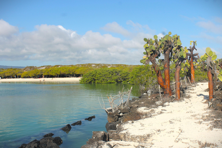 Galapagos Island Hopping Tour - 9D/8N