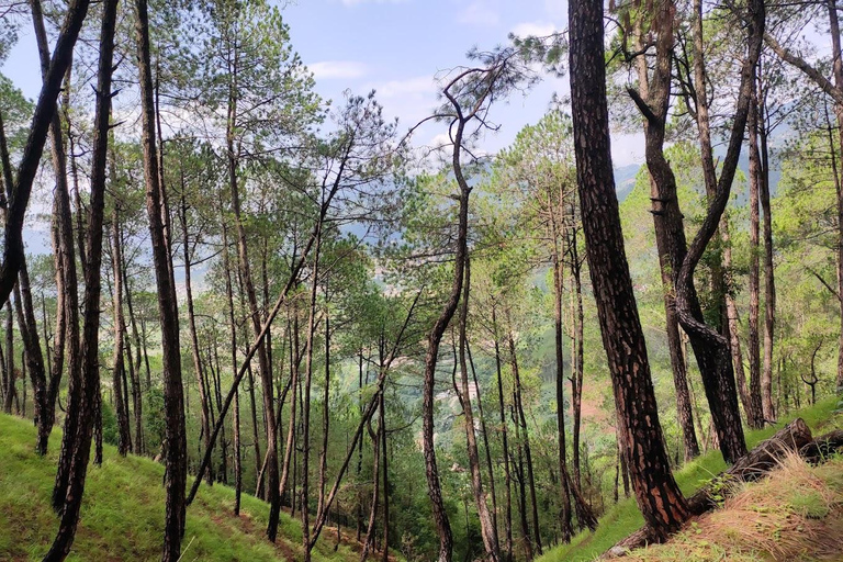 Kathmandu: Hike, Heritage & Holiness | Champadevi and more