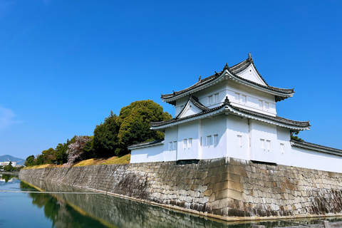 Kyoto: Nijo-jo Castle Samurai & Shogun Private In-Depth Tour Route 1: Essential In-Depth Experience (1 hour)