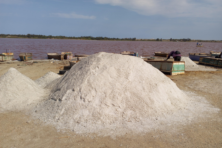 From Dakar: Bandia Reserve Safari and Pink Lake Tour