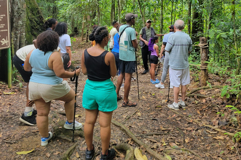 Trinidad: Experiencia en el Santuario de Aves del Centro Natural Asa Wright