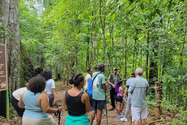 Trinidad: Experiencia en el Santuario de Aves del Centro Natural Asa Wright