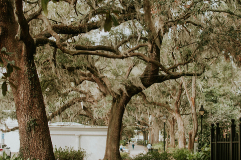 Savannah History Guided Open Air Cruiser Tour - Free Parking Savannah History Guided Open Air Minibus Tour - Free Parking