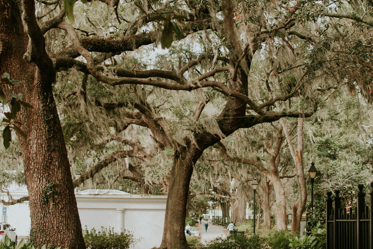 Savannah History Guided Open Air Cruiser Tour - Free Parking Savannah History Guided Open Air Minibus Tour - Free Parking