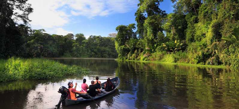 Tortuguero: Tour in canoa nel Parco Nazionale di Tortuguero