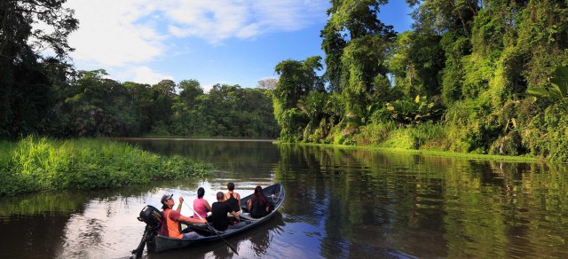 Visit Tortuguero Canoe tour in Tortuguero National Park in Tortuguero