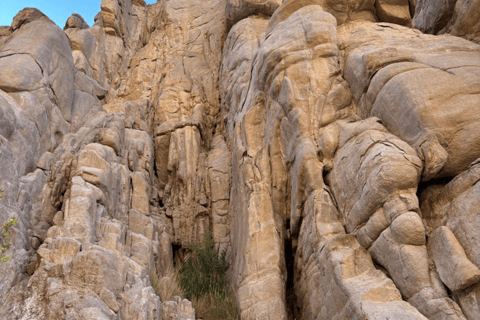 HRG: Jeep Safari with Quad, Buggy, Camel, Opt/ Dinner & show Mega Safari with Quad, Buggy, Camel ride & Bedouin camp