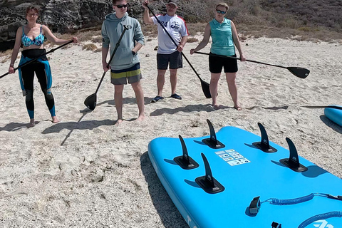 La Paz: Sea Lions & Mega-Paddleboard Tour in Espiritu Santo
