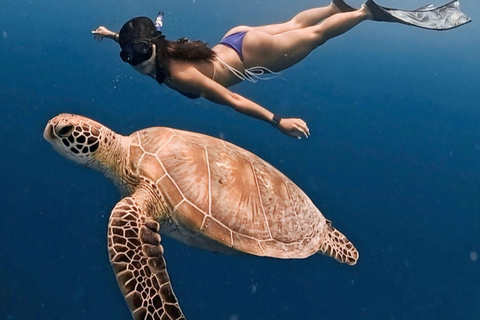 Private Snorkeling in Gili Trawangan, meno & air with goopro Option 2:Private Snorkeling in Gili T,meno & air with goopro