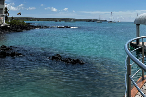 Santa Cruz: Snorkeling Sightseeing Tour at Las Grietas and Playa de los Alemanes