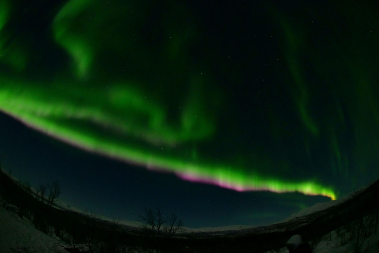 Abisko: Sami-Inspired Aurora BBQ with Aurora Chasing Abisko: Sami inspired Aurora BBQ with Aurora chasing