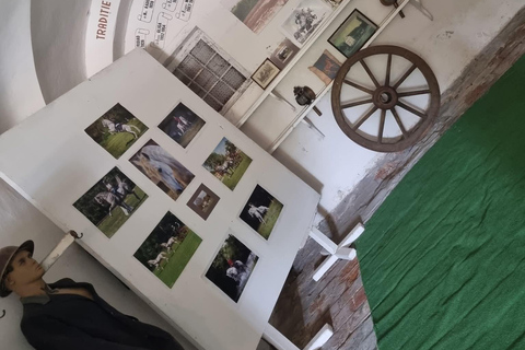Myths, Horses & Monks – A Transylvanian Storytelling Journey