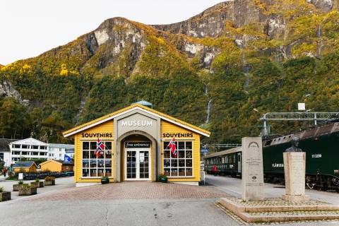 Bergen: excursión autoguiada de día completo de ida y vuelta