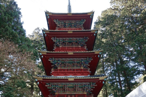 From Tokyo: Nikko Private Tour with Toshogu Shrine & Falls