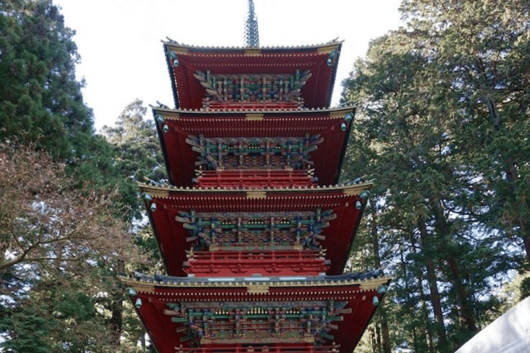From Tokyo: Nikko Private Tour with Toshogu Shrine & Falls