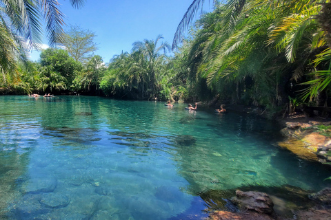 Wonderful Materuni waterfalls and Chemka hotspring Day trip