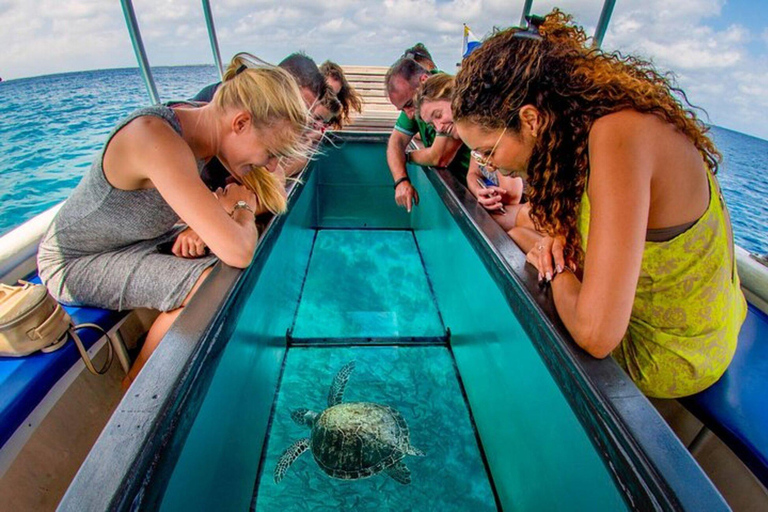 Puerto Plata: Glass Bottom Boat & Snorkeling Tour