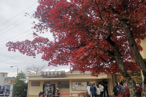 Osaka to Tokyo 3-Day Private Tour: Luxury Alphard & Mt. Fuji