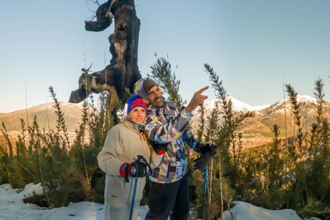 Bariloche Winter Park: Geführte SchneeschuhwanderungBariloche Winter Park: Geführte Schneeschuhwanderungen im Schnee