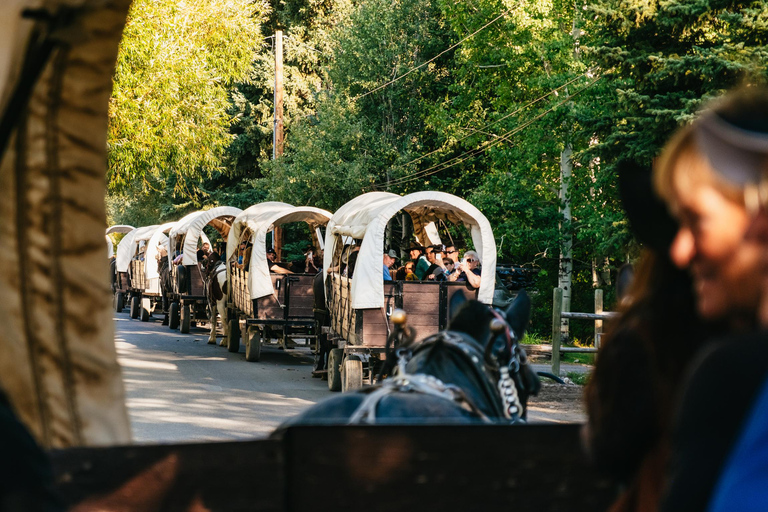 Jackson: Chuck Wagon Cookout and Live Show