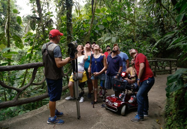 Visit Hanging Bridges Guided Tour at Mistico Park in Monteverde