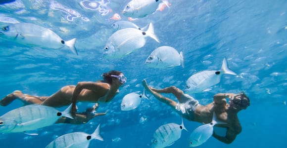 Fuerteventura: Lobos Island Ferry + Snorkel from Corralejo