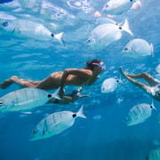 Fuerteventura: Insel Lobos – Fähre + Schnorcheln ab Corralejo